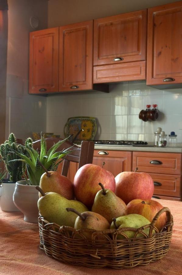 Agriturismo La Burraia Vicino A San Gimignano Gambassi Terme Ngoại thất bức ảnh